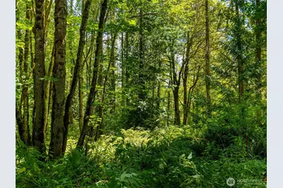 15309 231st Street Ct E, Graham, WA 98338 - Photo 6