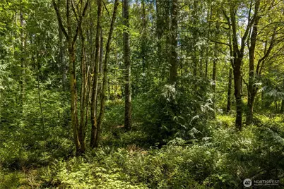 15310 231st Street Ct E, Graham, WA 98338 - Photo 10