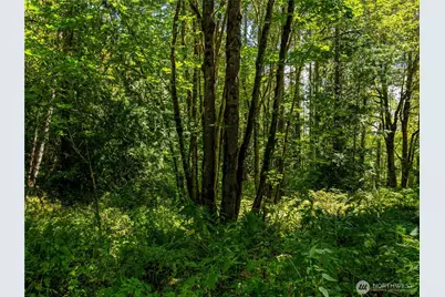 15310 231st Street Ct E, Graham, WA 98338 - Photo 6