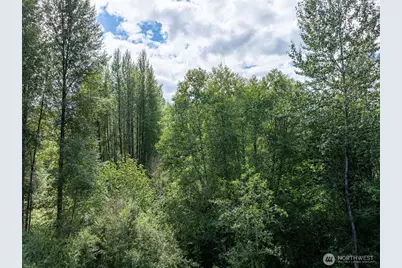 28909 State Route 706, Ashford, WA 98304 - Photo 4
