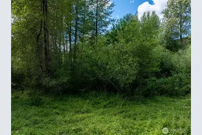 28909 State Route 706, Ashford, WA 98304 - Photo 32