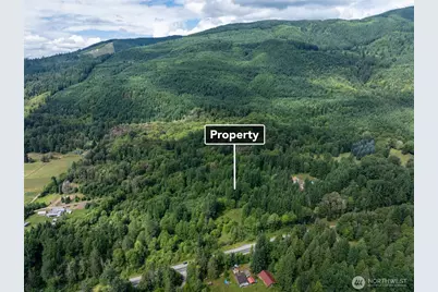 28909 State Route 706, Ashford, WA 98304 - Photo 30
