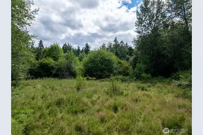 28909 State Route 706, Ashford, WA 98304 - Photo 22