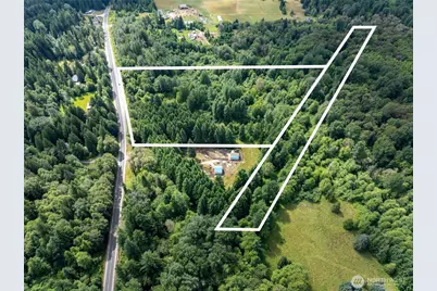 28909 State Route 706, Ashford, WA 98304 - Photo 6
