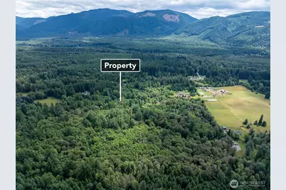 28909 State Route 706, Ashford, WA 98304 - Photo 18