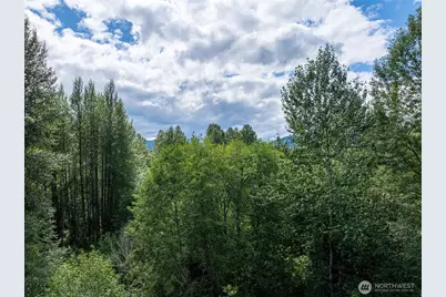 28909 State Route 706, Ashford, WA 98304 - Photo 20