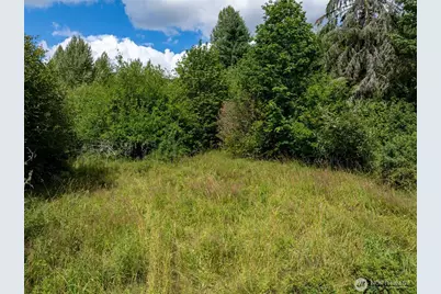 28909 State Route 706, Ashford, WA 98304 - Photo 2
