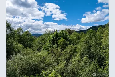 28901 State Route 706, Ashford, WA 98304 - Photo 26