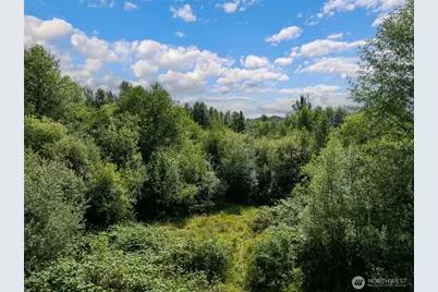 28901 State Route 706, Ashford, WA 98304 - Photo 4