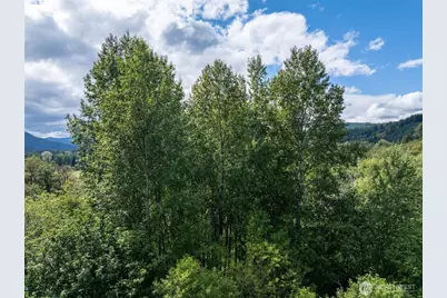 28901 State Route 706, Ashford, WA 98304 - Photo 14