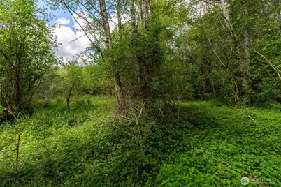 28901 State Route 706, Ashford, WA 98304 - Photo 24