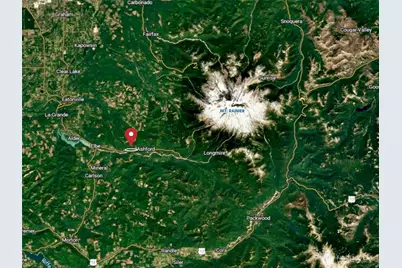 28901 State Route 706, Ashford, WA 98304 - Photo 6
