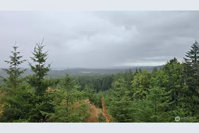 9207 Tract B Old Olympic Highway NW, Olympia, WA 98502 - Photo 22