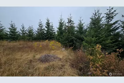 9207 Tract B Old Olympic Highway NW, Olympia, WA 98502 - Photo 26