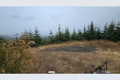 9207 Tract B Old Olympic Highway NW, Olympia, WA 98502 - Photo 24