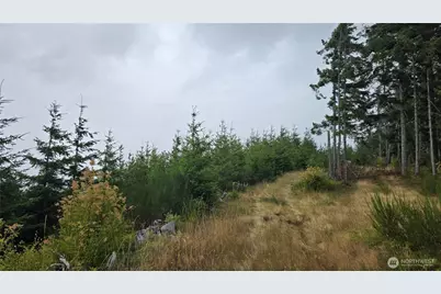 9207 Tract B Old Olympic Highway NW, Olympia, WA 98502 - Photo 10