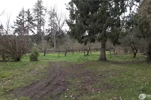 32022 8th Ave S, Roy, WA 98580 - Photo 10