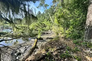 240 Old Midden Ln, Shaw Island, WA 98286 - Photo 24