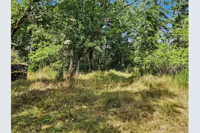 310 Washington Street, Quilcene, WA 98376 - Photo 14