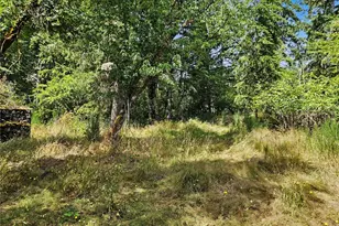 310 Washington St, Quilcene, WA 98376 - Photo 14