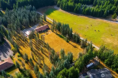 212 156th Lane SE, Tenino, WA 98589 - Photo 30