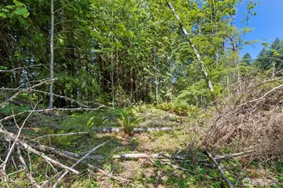 150 E Graham Road, Belfair, WA 98528 - Photo 28