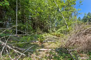 150 E Graham Rd, Belfair, WA 98528 - Photo 28