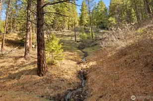 5910 Teanaway Rd, Cle Elum, WA 98922 - Photo 34