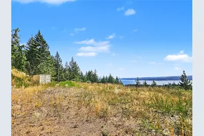646 Madrona Ridge Drive, Brinnon, WA 98320 - Photo 1