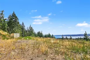 646 Madrona Ridge Dr, Brinnon, WA 98320 - Photo 1