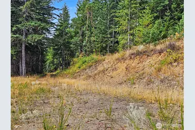 646 Madrona Ridge Drive, Brinnon, WA 98320 - Photo 14