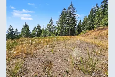 646 Madrona Ridge Drive, Brinnon, WA 98320 - Photo 16