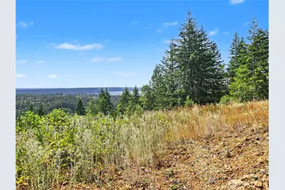 646 Madrona Ridge Drive, Brinnon, WA 98320 - Photo 32