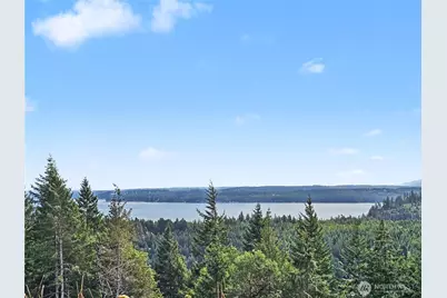 646 Madrona Ridge Drive, Brinnon, WA 98320 - Photo 12