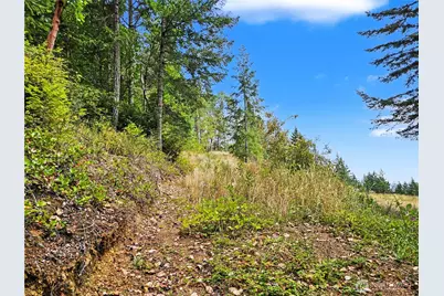 646 Madrona Ridge Drive, Brinnon, WA 98320 - Photo 20