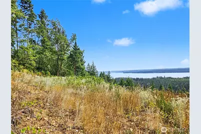 646 Madrona Ridge Drive, Brinnon, WA 98320 - Photo 30