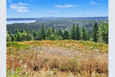 646 Madrona Ridge Drive, Brinnon, WA 98320 - Photo 26
