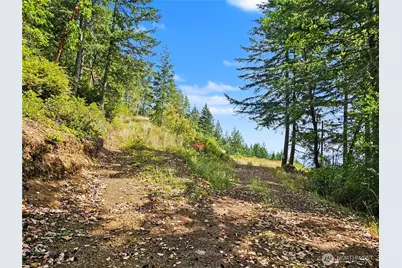 646 Madrona Ridge Drive, Brinnon, WA 98320 - Photo 8