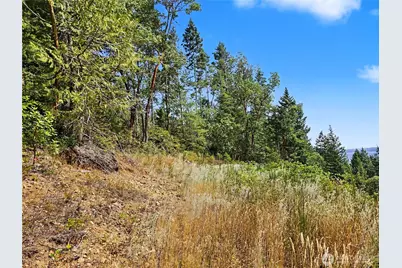 646 Madrona Ridge Drive, Brinnon, WA 98320 - Photo 28