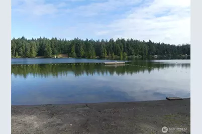 10107 Narrows Drive, Anderson Island, WA 98303 - Photo 22