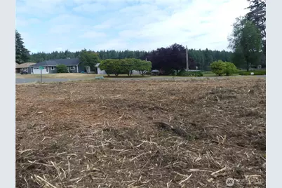 10107 Narrows Drive, Anderson Island, WA 98303 - Photo 2