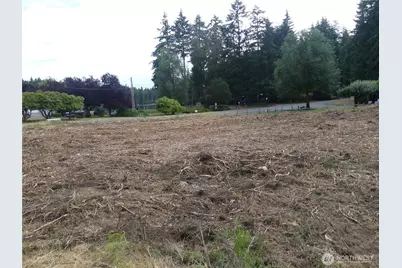 10107 Narrows Drive, Anderson Island, WA 98303 - Photo 10