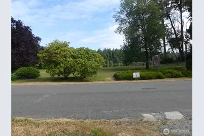 10107 Narrows Drive, Anderson Island, WA 98303 - Photo 20