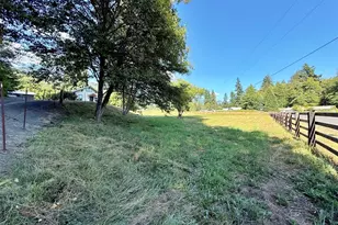 133 Martin Rd, Glenoma, WA 98336 - Photo 4