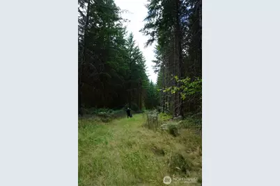 259 Finn Hill Road, Winlock, WA 98596 - Photo 28