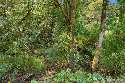 3 Xxx NE 30th Street, Bremerton, WA 98310 - Photo 6