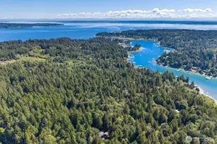 14677 Sivertson Rd NE, Bainbridge Island, WA 98110 - Photo 40