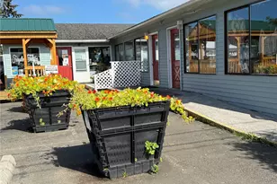1910 Bay Ave, Ocean Park, WA 98640 - Photo 2