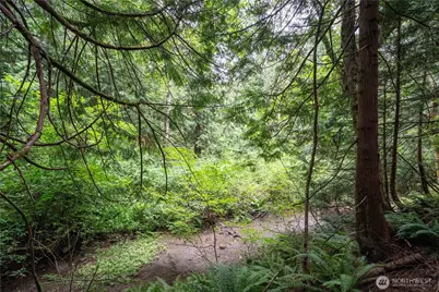 0 Nhn E Horton Road, Bellingham, WA 98226 - Photo 6