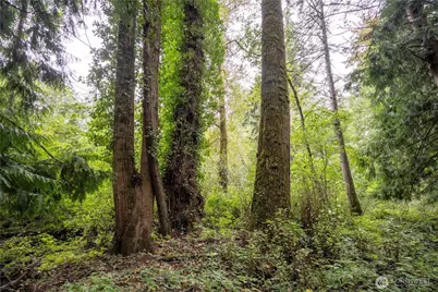 0 Nhn E Horton Road, Bellingham, WA 98226 - Photo 20